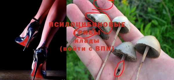mix Белокуриха
