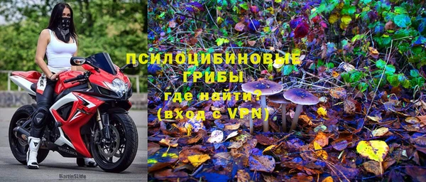 крисы Струнино